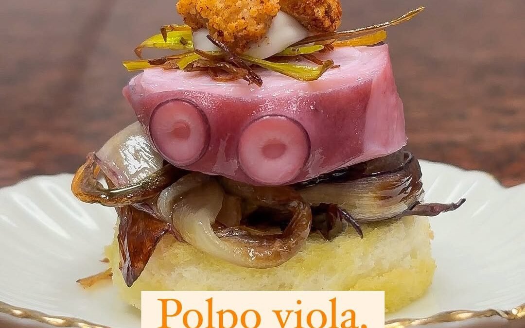 Radicchio tardivo, polpo (che dovrebbe essere blu😅, ma è stato poco in acqua) porro e arachide sabbiato alla paprika questo abbinamento è molto carino